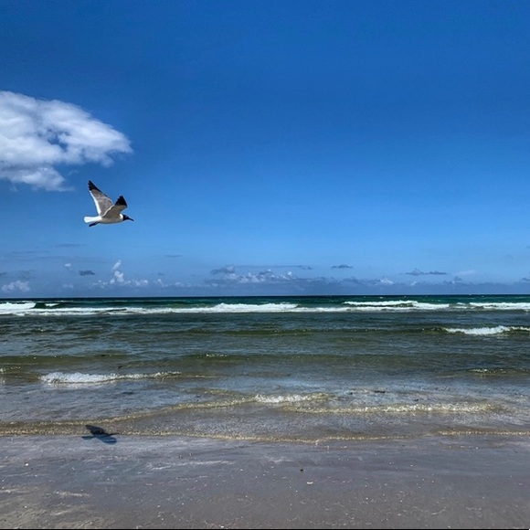 Meet your Posher, Crissy - Picture 1 of 1